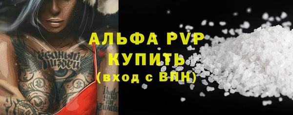 хмурый Арсеньев