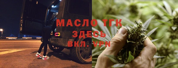 хмурый Арсеньев