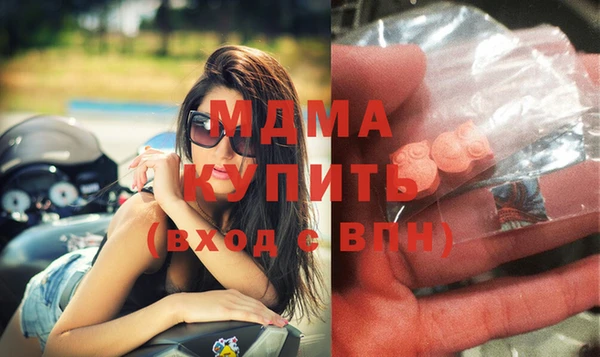 хмурый Арсеньев