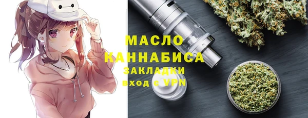 хмурый Арсеньев