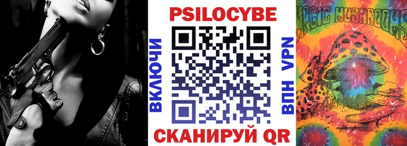 Псилоцибиновые грибы Psilocybe  OMG как войти  Армянск 